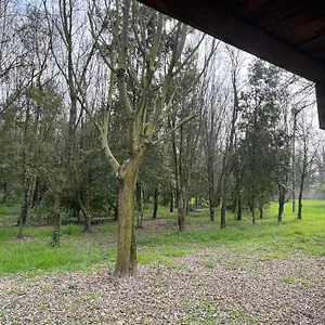 Woods Appartement